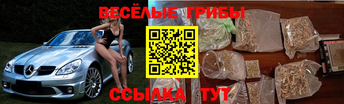 Псилоцибиновые грибы Psilocybine cubensis Джанкой
